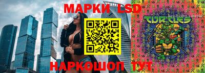 spice Обнинск