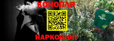 spice Обнинск
