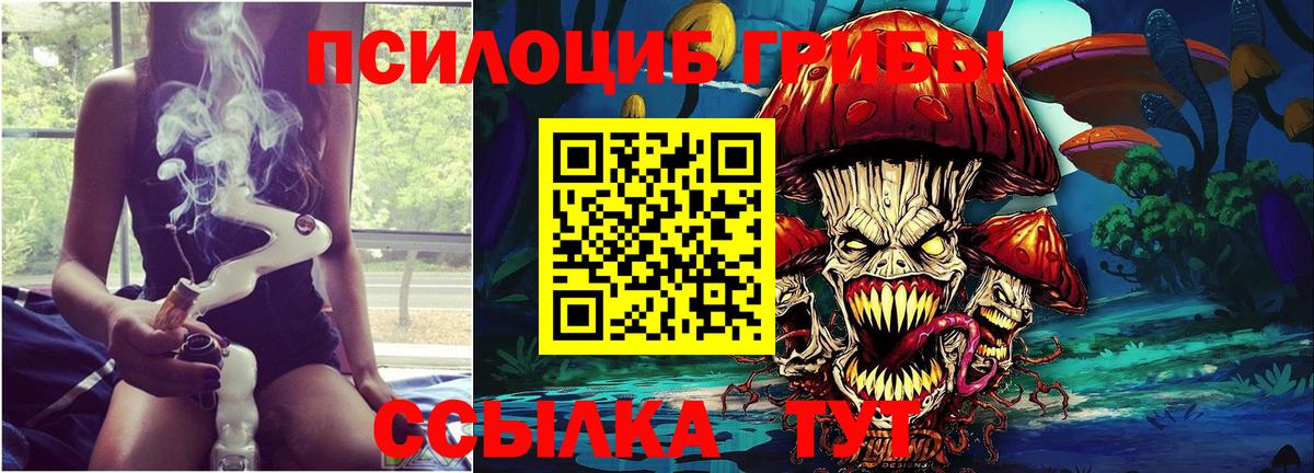 Псилоцибиновые грибы Psilocybe Тавда
