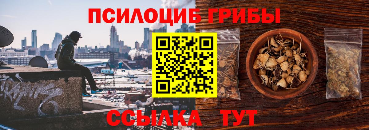 Тавда  Галлюциногенные грибы Psilocybe  Галлюциногенные грибы Psilocybine cubensis  закладка  Вход с VPN 