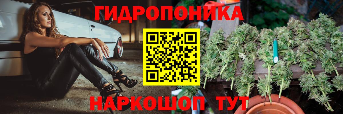 Тавда  МАРИХУАНА планчик  Бошки Шишки планчик  Конопля ГИДРОПОН  МАРИХУАНА MAZAR  Вход с VPN 